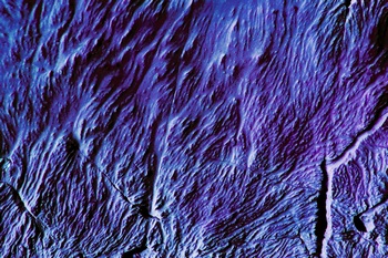 AP 91C1